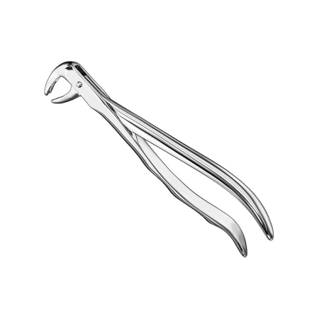 Extracting forceps, anat.